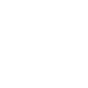 x icon